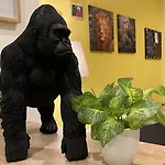 בית הארחה La Tropicale De - D'hotes