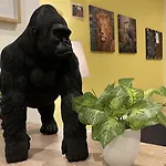La Tropicale De - D'hotes בית הארחה 3*