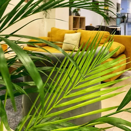 Maison d'hôtes La Tropicale De - D'hôtes Croix